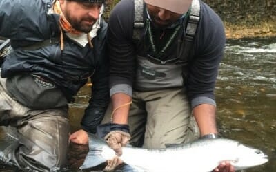 Salmon River Update 28 October 2015