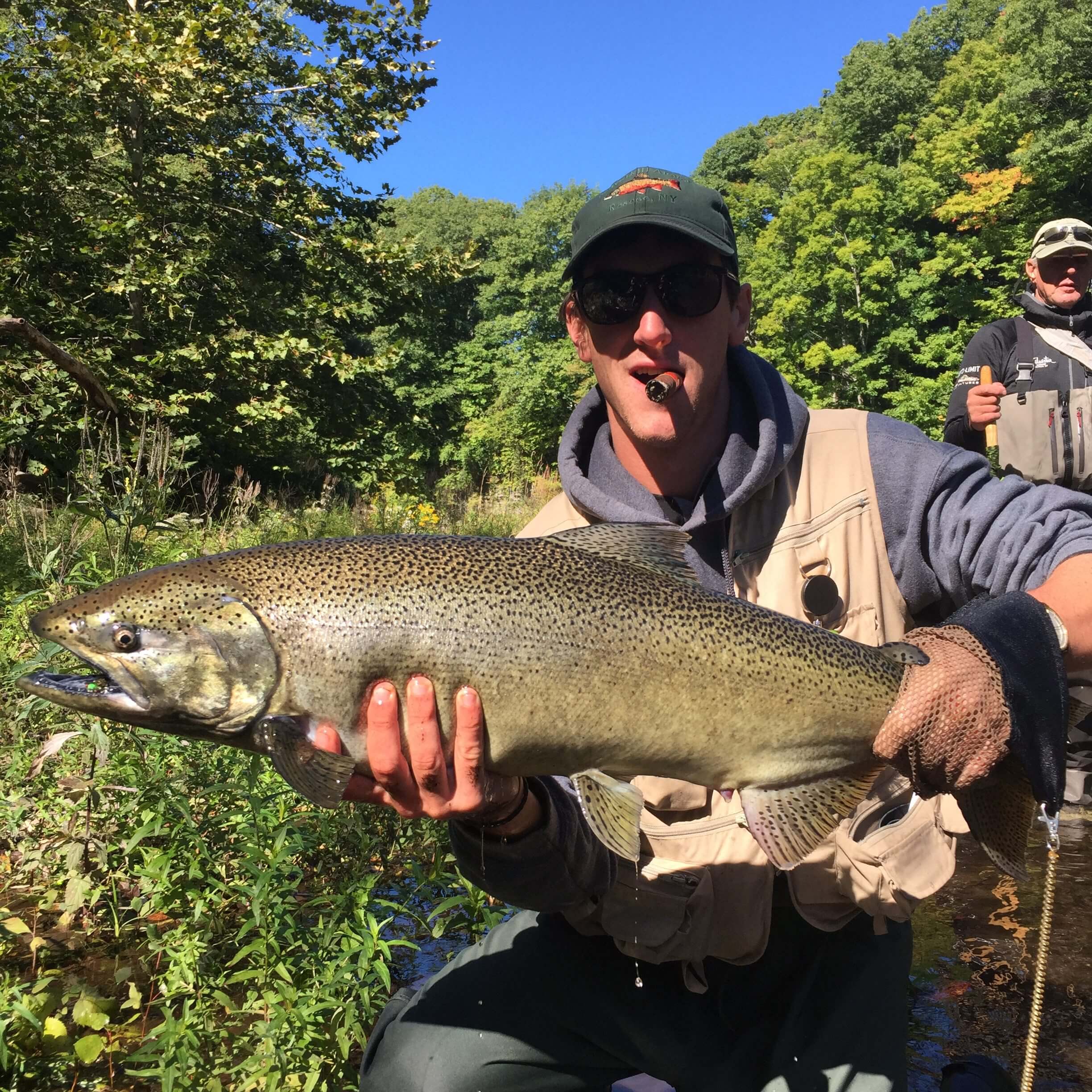 King salmon reign shrinks on changing Great Lakes