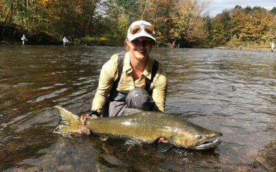 Great Lakes King Salmon